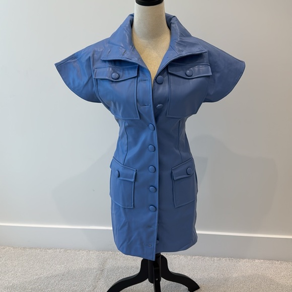 Blue Button-Up Mini Dress - Picture 2 of 10